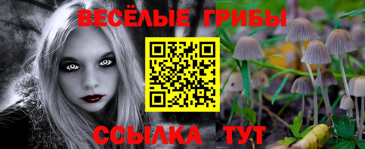 Галлюциногенные грибы прущие грибы  Вход с VPN  Бутурлиновка  Галлюциногенные грибы мицелий 
